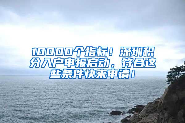 10000个指标！深圳积分入户申报启动，符合这些条件快来申请！