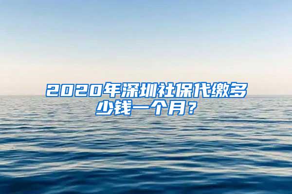 2020年深圳社保代缴多少钱一个月？