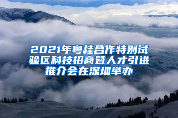 2021年粤桂合作特别试验区科技招商暨人才引进推介会在深圳举办