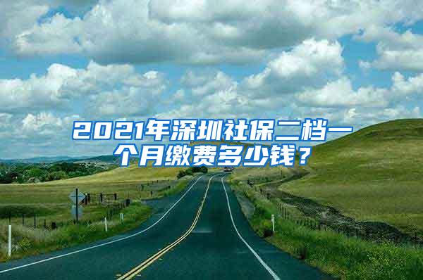 2021年深圳社保二档一个月缴费多少钱？