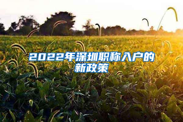 2022年深圳职称入户的新政策