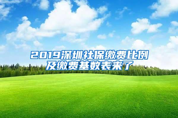 2019深圳社保缴费比例及缴费基数表来了