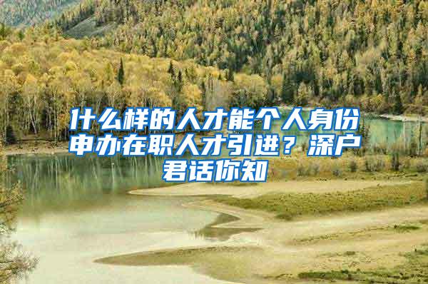 什么样的人才能个人身份申办在职人才引进？深户君话你知