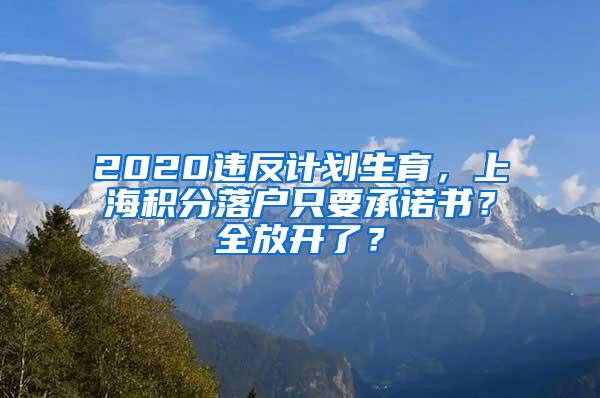 2020违反计划生育，上海积分落户只要承诺书？全放开了？