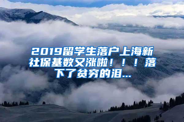 2019留学生落户上海新社保基数又涨啦！！！落下了贫穷的泪...