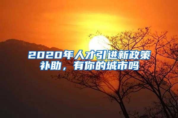 2020年人才引进新政策补助，有你的城市吗