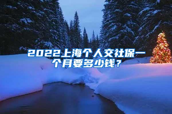 2022上海个人交社保一个月要多少钱？