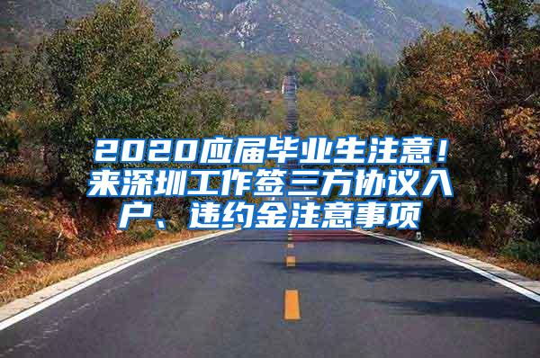 2020应届毕业生注意！来深圳工作签三方协议入户、违约金注意事项