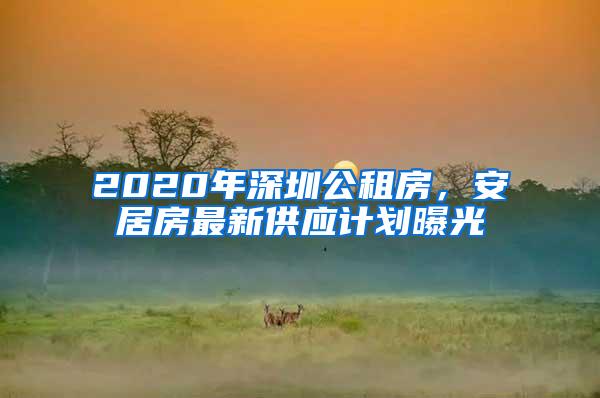 2020年深圳公租房，安居房最新供应计划曝光