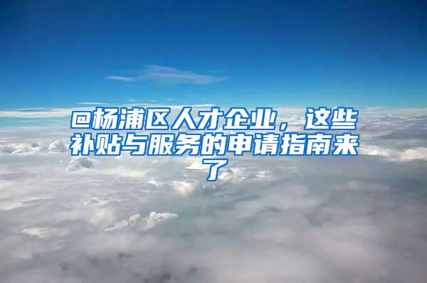 @杨浦区人才企业，这些补贴与服务的申请指南来了