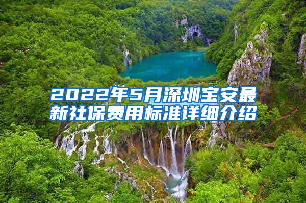 2022年5月深圳宝安最新社保费用标准详细介绍