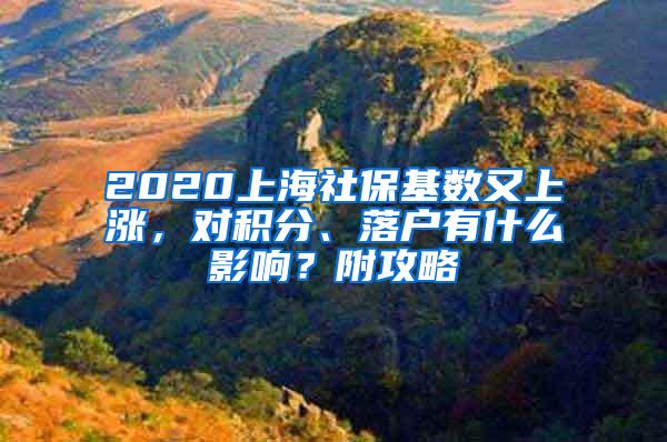 2020上海社保基数又上涨，对积分、落户有什么影响？附攻略