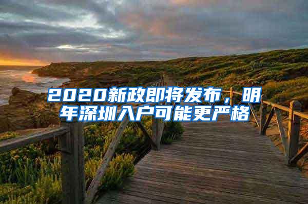 2020新政即将发布，明年深圳入户可能更严格