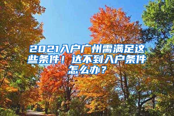 2021入户广州需满足这些条件！达不到入户条件怎么办？