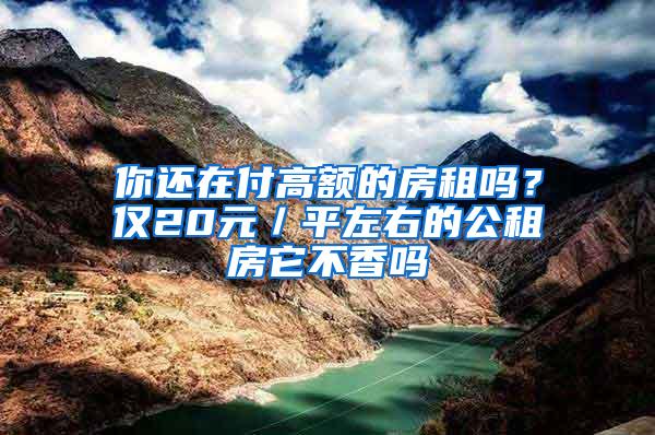 你还在付高额的房租吗？仅20元／平左右的公租房它不香吗