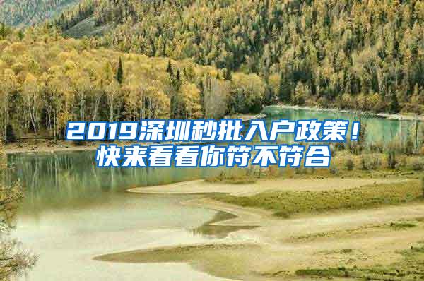 2019深圳秒批入户政策！快来看看你符不符合