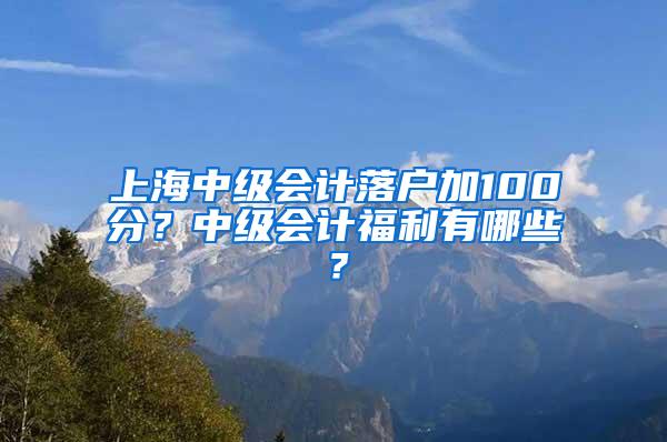 上海中级会计落户加100分？中级会计福利有哪些？