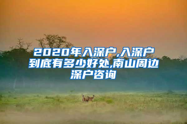 2020年入深户,入深户到底有多少好处,南山周边深户咨询