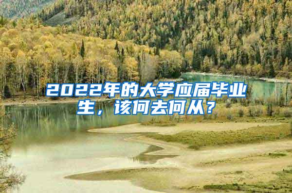 2022年的大学应届毕业生，该何去何从？