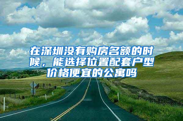 在深圳没有购房名额的时候，能选择位置配套户型价格便宜的公寓吗