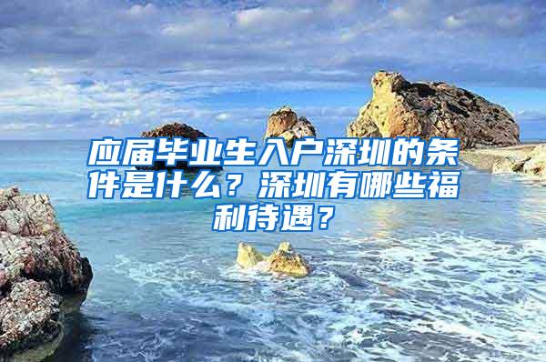 应届毕业生入户深圳的条件是什么？深圳有哪些福利待遇？