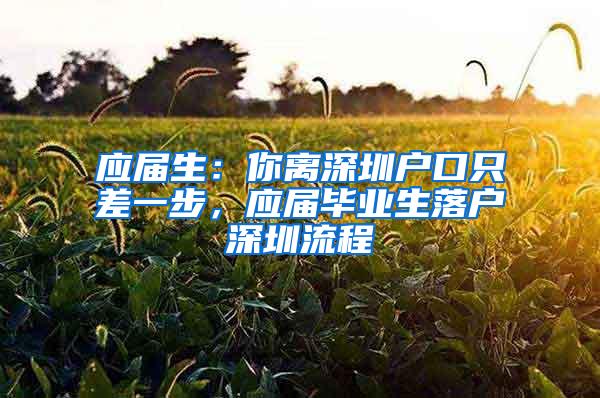 应届生：你离深圳户口只差一步，应届毕业生落户深圳流程