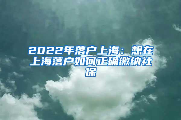 2022年落户上海：想在上海落户如何正确缴纳社保