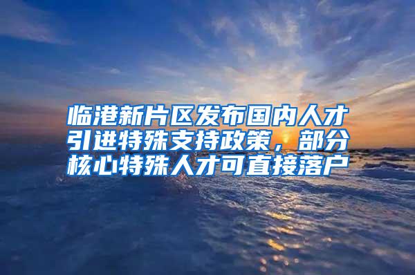 临港新片区发布国内人才引进特殊支持政策，部分核心特殊人才可直接落户