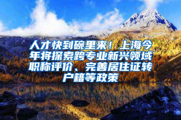 人才快到碗里来！上海今年将探索跨专业新兴领域职称评价、完善居住证转户籍等政策