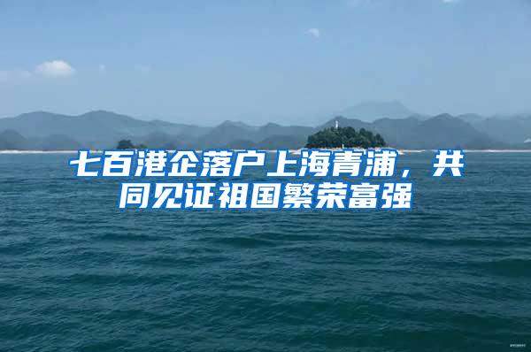 七百港企落户上海青浦，共同见证祖国繁荣富强