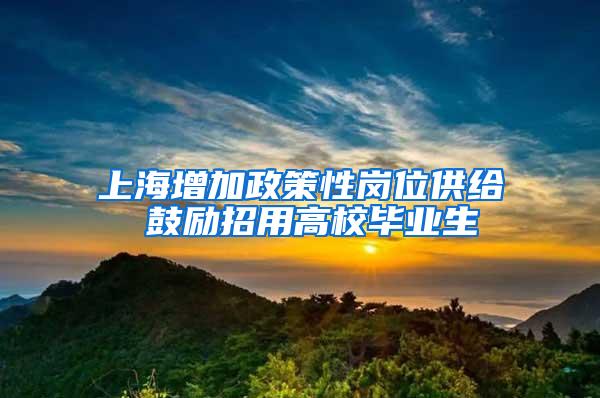 上海增加政策性岗位供给 鼓励招用高校毕业生