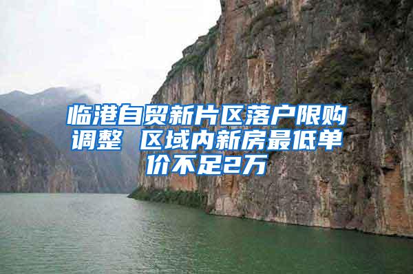 临港自贸新片区落户限购调整 区域内新房最低单价不足2万