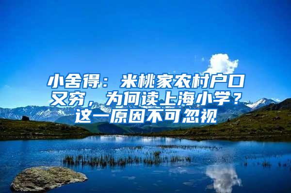 小舍得：米桃家农村户口又穷，为何读上海小学？这一原因不可忽视