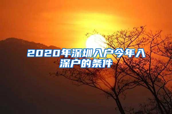 2020年深圳入户今年入深户的条件