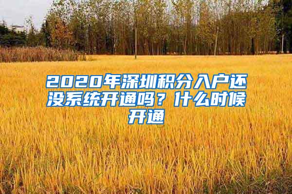 2020年深圳积分入户还没系统开通吗？什么时候开通