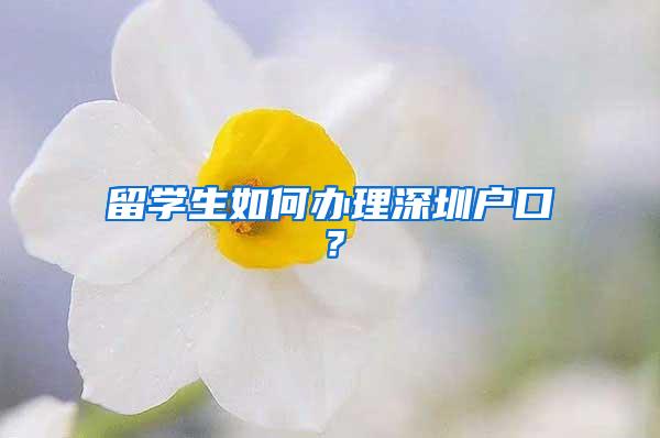 留学生如何办理深圳户口？