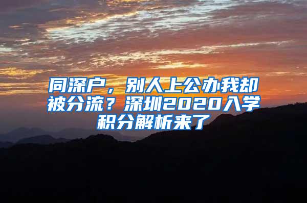 同深户，别人上公办我却被分流？深圳2020入学积分解析来了