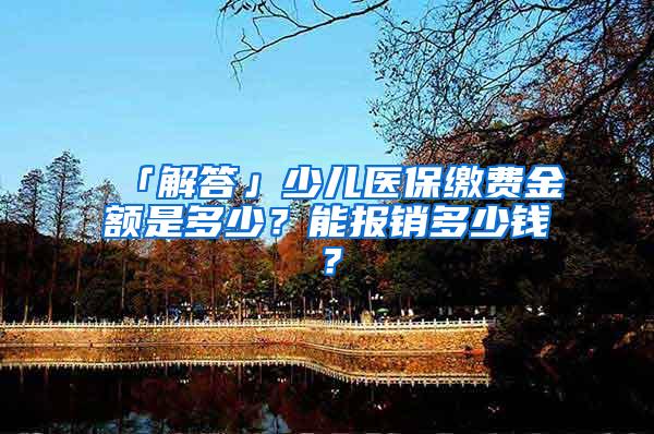 「解答」少儿医保缴费金额是多少？能报销多少钱？