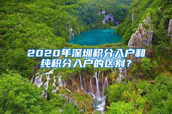 2020年深圳积分入户和纯积分入户的区别？