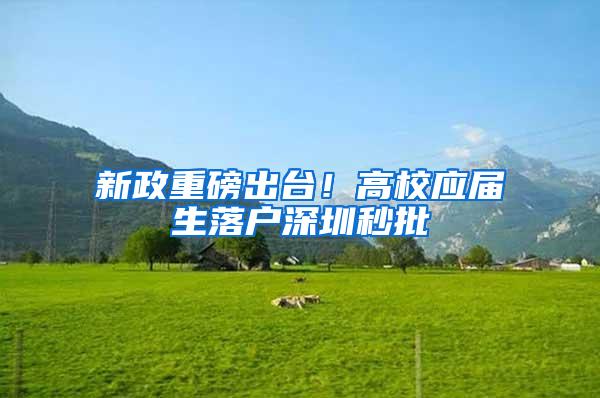 新政重磅出台！高校应届生落户深圳秒批