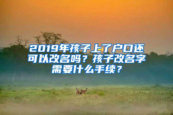 2019年孩子上了户口还可以改名吗？孩子改名字需要什么手续？