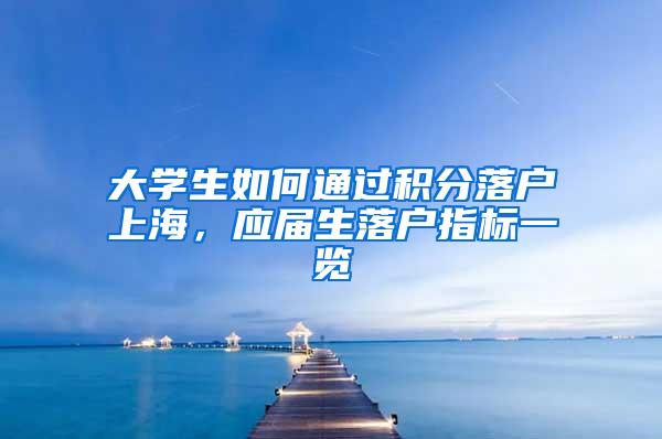 大学生如何通过积分落户上海，应届生落户指标一览