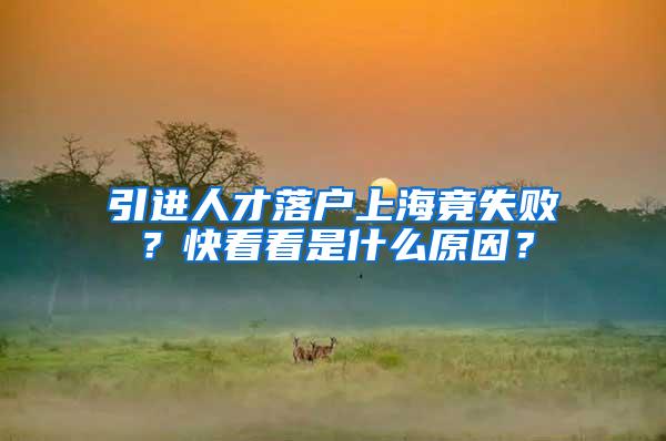 引进人才落户上海竟失败？快看看是什么原因？