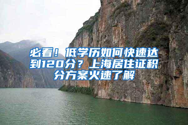 必看！低学历如何快速达到120分？上海居住证积分方案火速了解