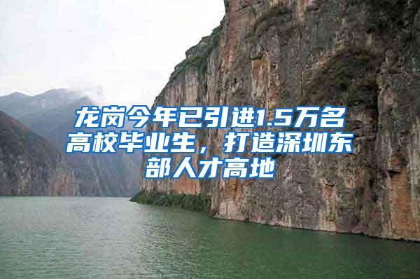 龙岗今年已引进1.5万名高校毕业生，打造深圳东部人才高地