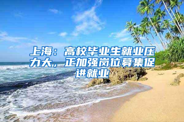 上海：高校毕业生就业压力大，正加强岗位募集促进就业