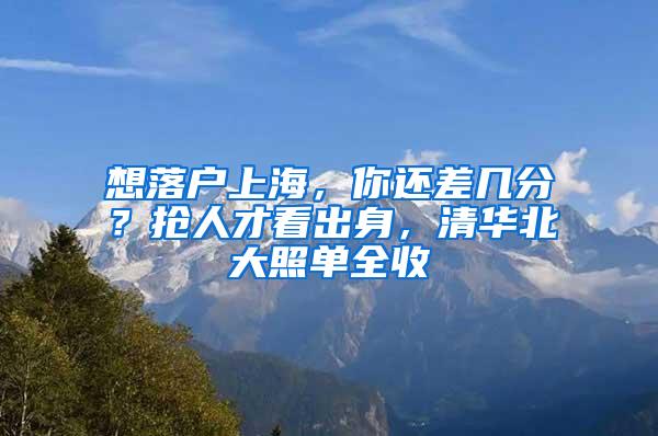 想落户上海，你还差几分？抢人才看出身，清华北大照单全收