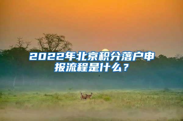 2022年北京积分落户申报流程是什么？