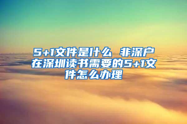 5+1文件是什么 非深户在深圳读书需要的5+1文件怎么办理