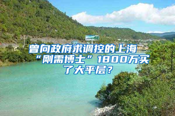 曾向政府求调控的上海“刚需博士”1800万买了大平层？